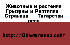 Животные и растения Грызуны и Рептилии - Страница 2 . Татарстан респ.